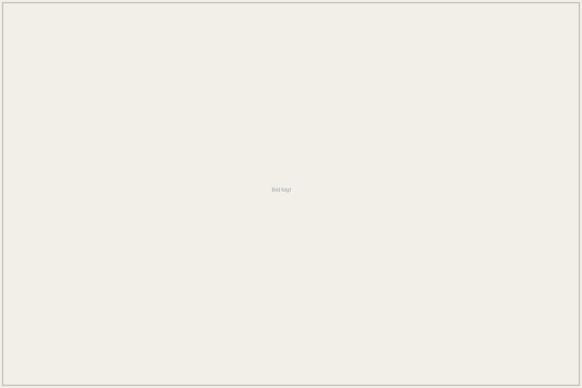 Screenshot Projekt 1